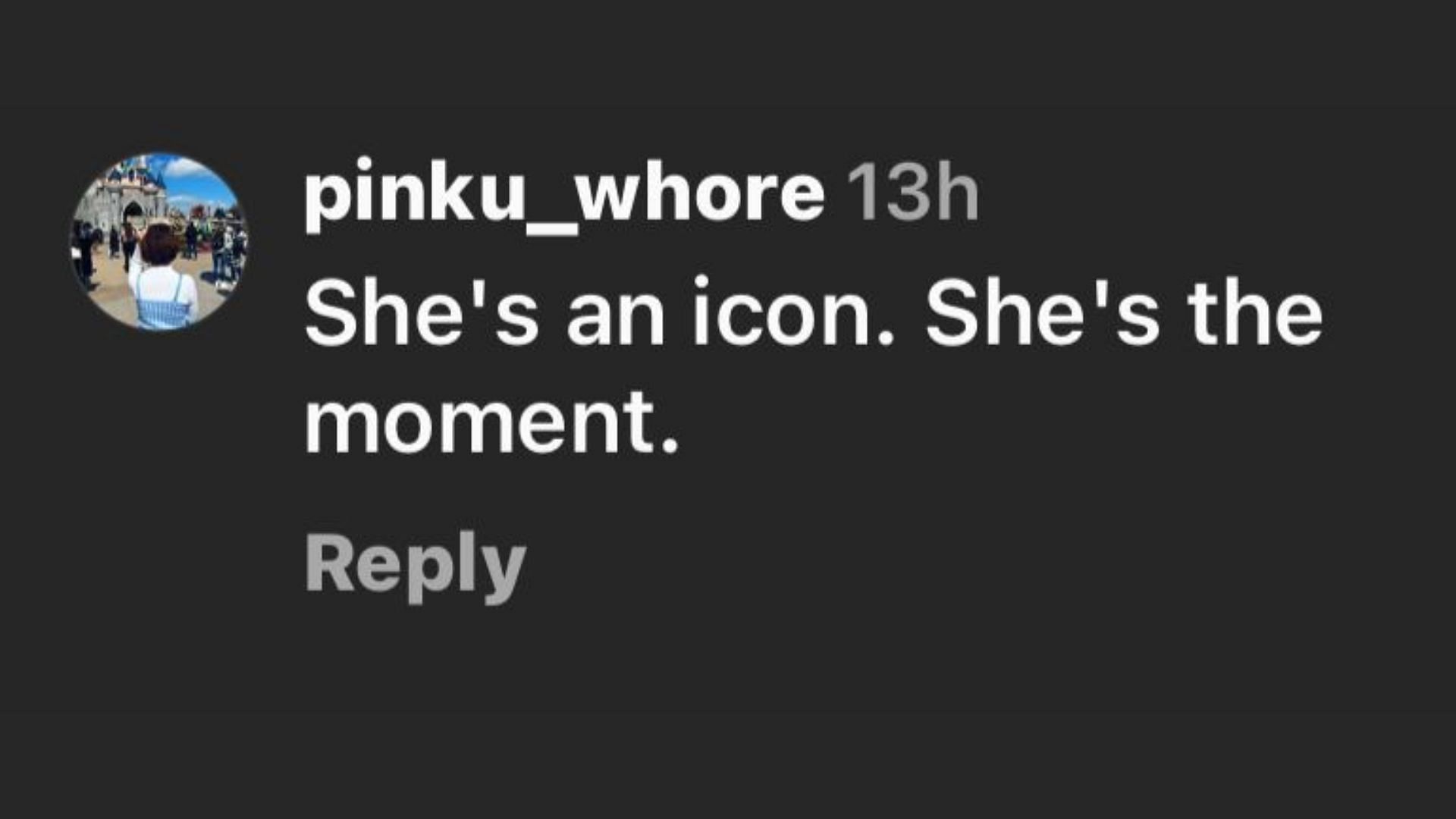 One of the internet user commented (Image via Instagram/@for_everyoung10)